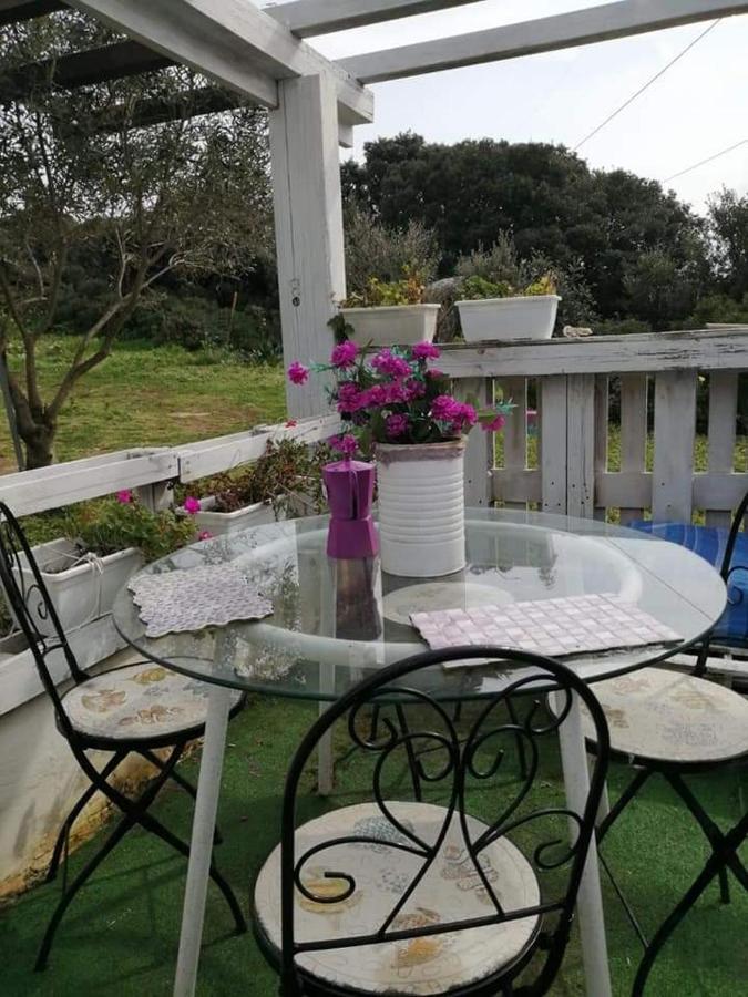 Eucaliptus Farm Retreat Guest House Santa Teresa Gallura Luaran gambar