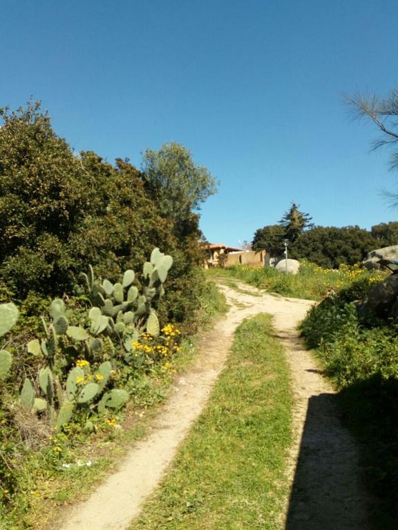 Eucaliptus Farm Retreat Guest House Santa Teresa Gallura Luaran gambar