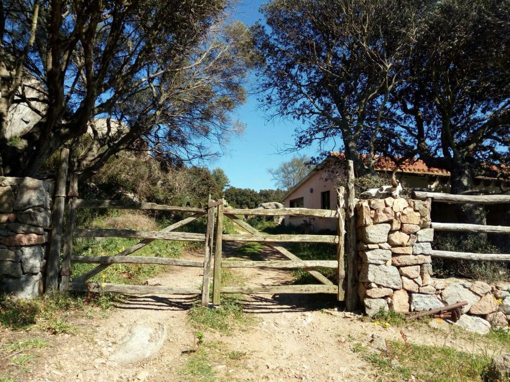 Eucaliptus Farm Retreat Guest House Santa Teresa Gallura Luaran gambar