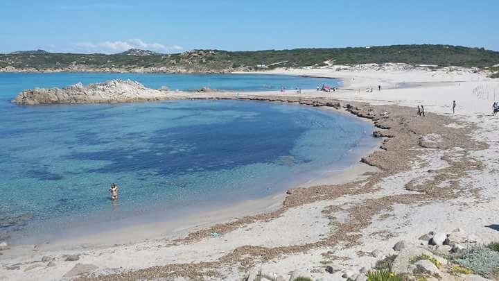 Eucaliptus Farm Retreat Guest House Santa Teresa Gallura Luaran gambar