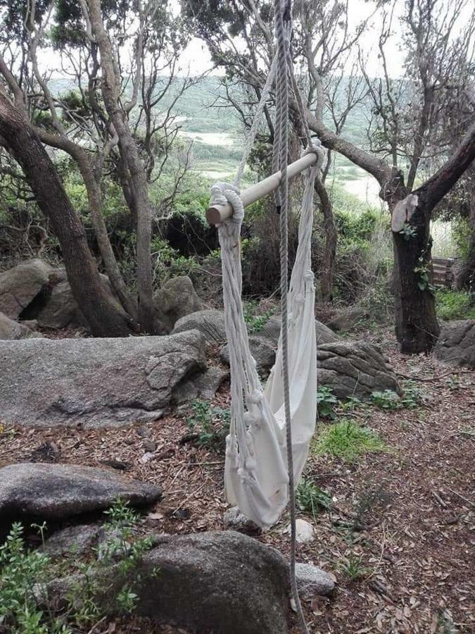 Eucaliptus Farm Retreat Guest House Santa Teresa Gallura Luaran gambar